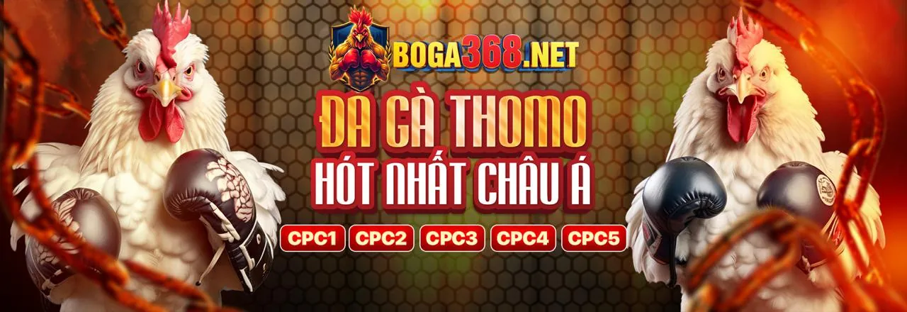 Hình ảnh hỗ trợ khách hàng đá gà trực tuyến